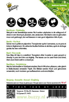 Basilicum fijn 1.5g - afbeelding 2