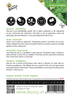 Basilicum grof 1.5g - afbeelding 2