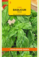 Basilicum grof 1g