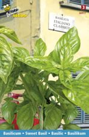 Basilicum italiano class 1.5g - afbeelding 3