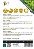 Basilicum piccolo fogl 1.5g - afbeelding 2