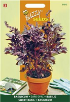 Basilicum rood dark opal 1.5g - afbeelding 4