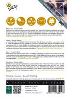 Basilicum santo 1.5g - afbeelding 2