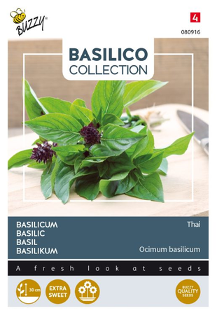 Basilicum siam of thai 1.5g - afbeelding 1