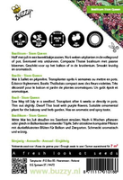 Basilicum siam queen 0.2g - afbeelding 2