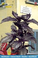 Basilicum violetto aromatico 1.5g - afbeelding 3