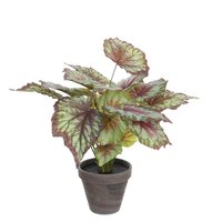 Begonia in pot d38h40cm rood (Zijde-plant)