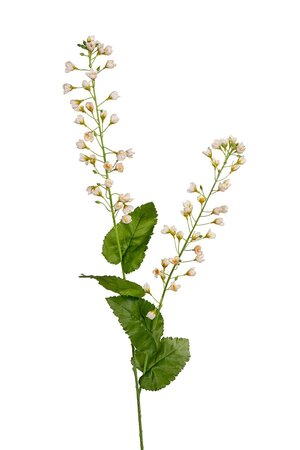 Bellflower l107cm creme