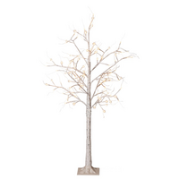 Berkenboom wit 120l/l130cm ww