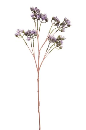 Bessentak  l50cm oud paars