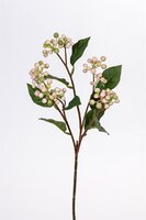 Bessentak l55cm roze