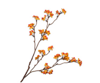 Bessentak l63cm oranje/geel