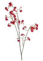 Bessentak l90cm cerise/oranje