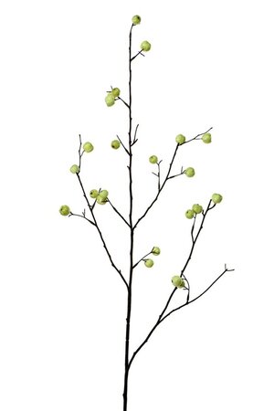 Bessentak l90cm groen