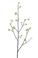 Bessentak l90cm groen