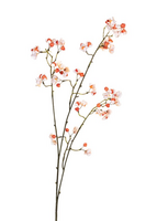 Bessentak l90cm zalm/creme