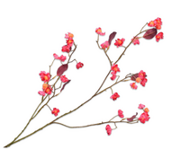 Bessentak l93cm beauty