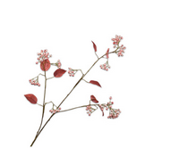 Bessentak l94cm roze