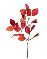 Beukenbladtak l70cm oranje/rood