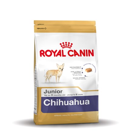 BHN Chihuahua 30 junior 1.5kg