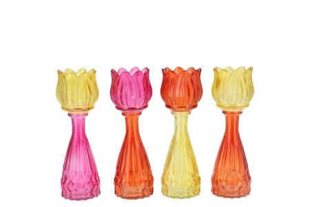 BICOLORE DUTCH ORANGE MIX TULIP VASE ASS 7X18CM