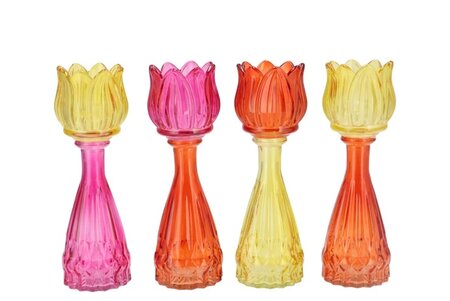BICOLORE DUTCH ORANGE MIX TULIP VASE ASS 7X22CM