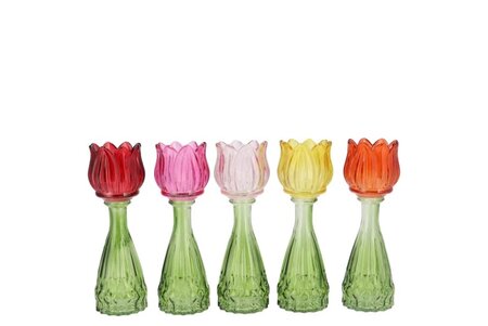 BICOLORE MULTI COLOR MIX TULIP VASE ASS 7X18CM