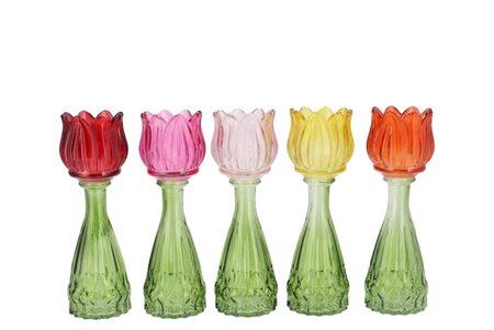 BICOLORE MULTI COLOR MIX TULIP VASE ASS 7X22CM