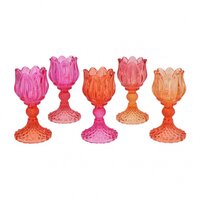 BICOLORE ORANGE MIX TULIP ASS 8x15cm