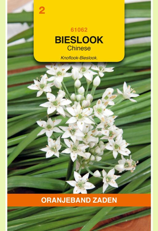 Bieslook chinees 1g - afbeelding 1