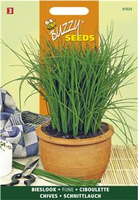 Bieslook fijn 2g - afbeelding 5