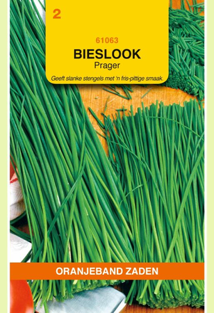 Bieslook fijn 2g - afbeelding 1