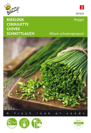 Bieslook fijn 2g - afbeelding 1