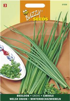 Bieslook grof allium fistulos 2g - afbeelding 4