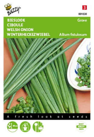 Bieslook grof allium fistulos 2g - afbeelding 1