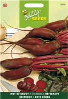 Biet cylindra halflang 5g - afbeelding 3