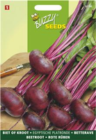 Biet egyptisch platrond 5g - afbeelding 5