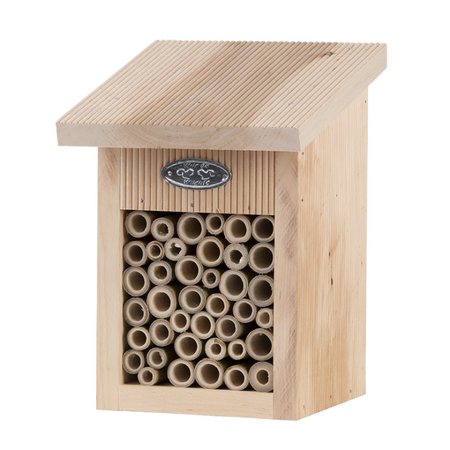 Bijenhuis in cadeaudoos l16b16h22