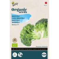 Bio broccoli belstar f1 25zdn