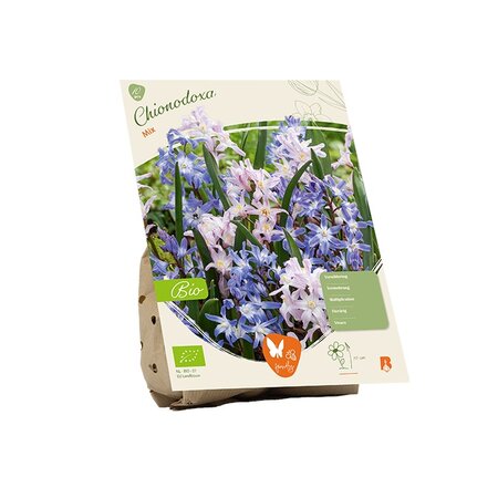 Bio - chionodoxa mix 10st
