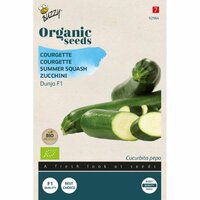 Bio courgette dunja f1 7zdn