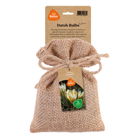 Bio - crocus romance 10st