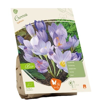Bio - crocus sativus 15st