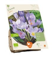 Bio - crocus sativus 15st
