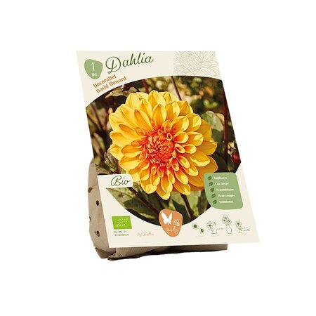 Bio dahlia dec david howard 1st