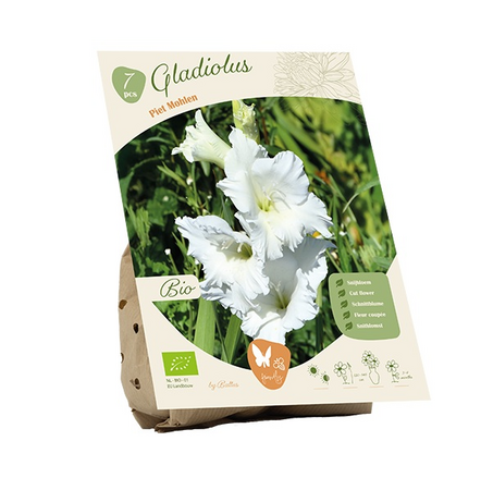 Bio gladiolus piet mohlen 7st