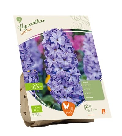 Bio - hyacint delft blue 5st