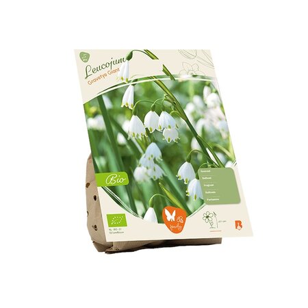 Bio - leucojum a. gravetye g. 5st