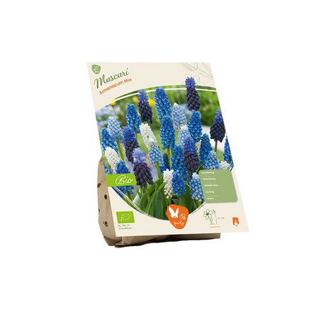 Bio muscari mix 15st