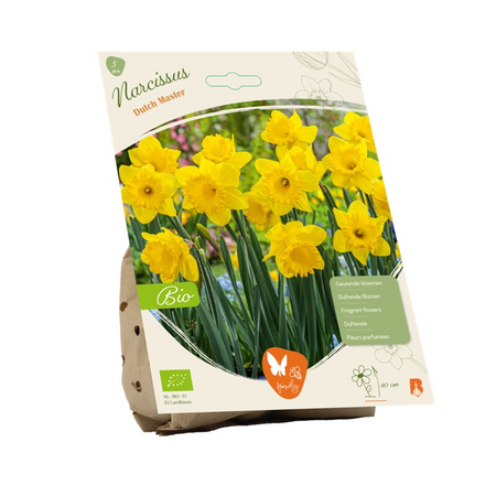 Bio narcis dutch master 5st